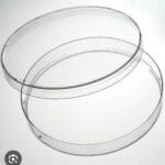 Boite PETRI 90MM RONDE 3 ERGOTS ASEP C500