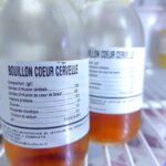 BOUILLON COEUR CERVELLE (50ml)