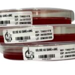 GELOSE AU SANG  +  ANC  (BOITE90)  (sang de mouton)