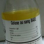 GELOSE COLUMBIA  (BASE DE SANG)