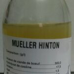 MUELLER HINTON (MH) 100ML