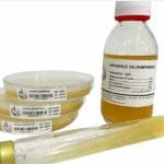 SUPPLEMENT CHLORAMPHENICOLE