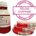 CHAPMAN 100ML