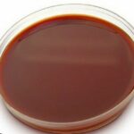 GELOSE Chocolat VCN (boite 90)