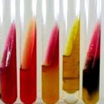 KLIGLER HAJNA  (Tube10ML)