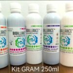 Coloration de GRAM  (kit 5*250mL) BIO ALL