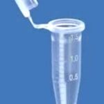 TUBE EPPENDORF 1.5 ML (500PS)